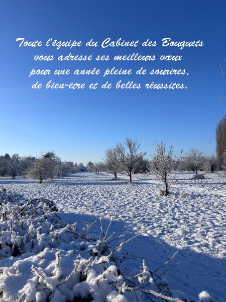 Voeux dr Julien Paturel